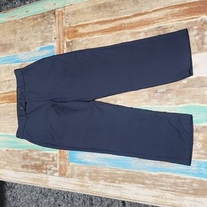 Dillards Class/Club Gold Label Modern Fit Navy Blue Wool Dress Pants Trousers